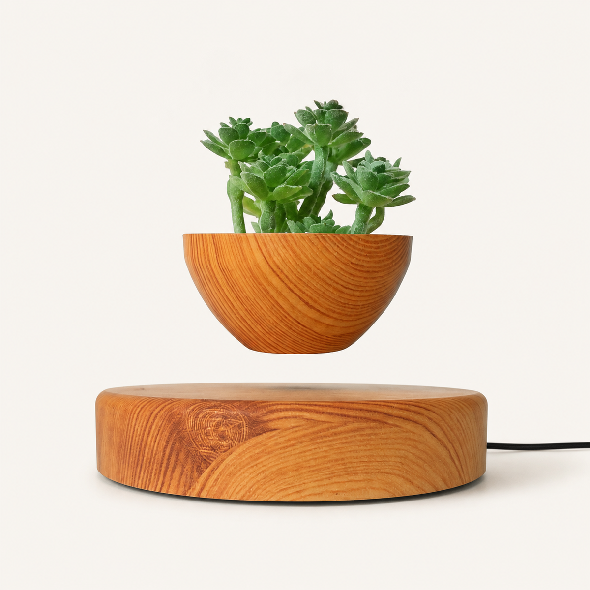 Hoverstone PS Wooden Bowl Planter